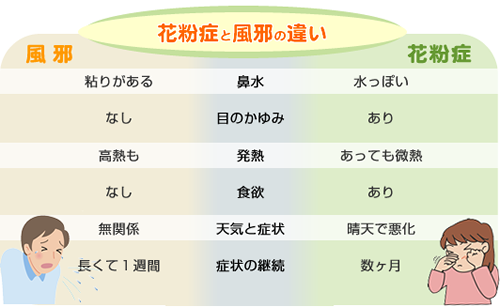 症 注射 花粉 花粉症への注射の種類と効果と費用！副作用は？