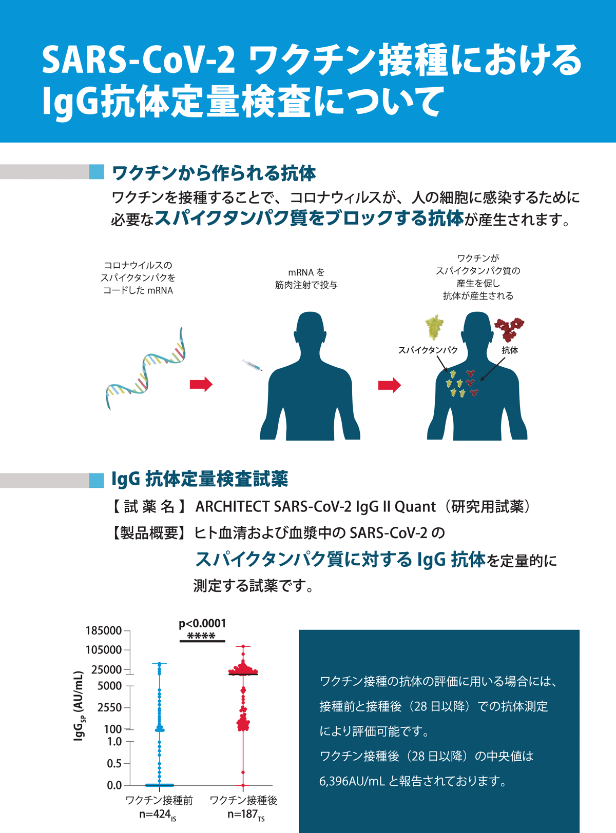 コロナ抗体検査