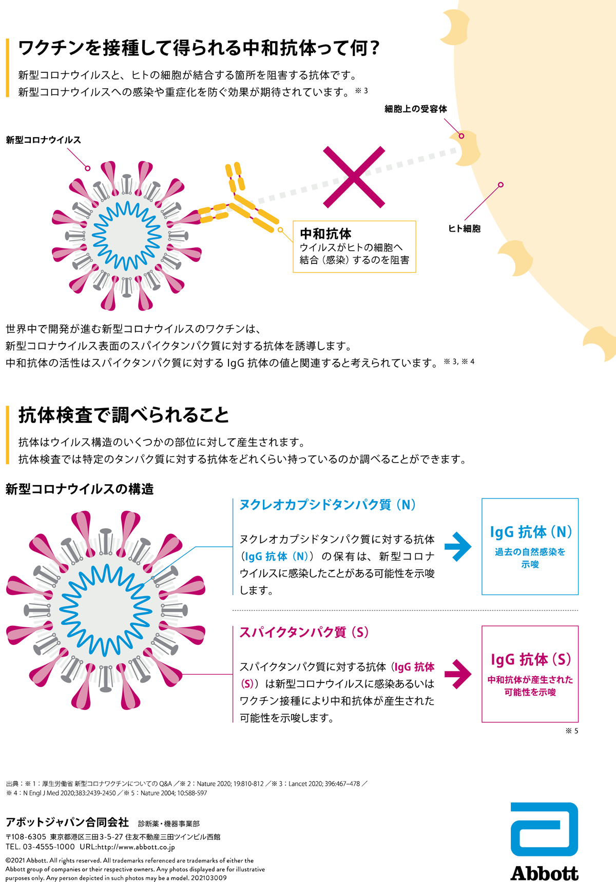 コロナ抗体検査